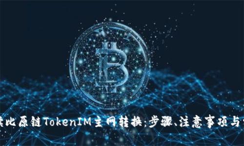 全面解读比原链TokenIM主网转换：步骤、注意事项与常见问题