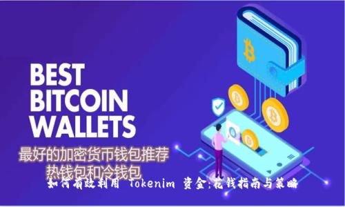 如何有效利用 Tokenim 资金：花钱指南与策略