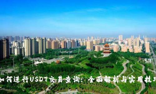 如何进行USDT交易查询: 全面解析与实用技巧