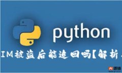 国内TokenIM被盗后能追回吗？解析与应对措施