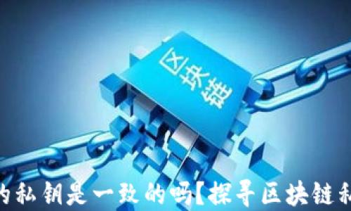 
Tokenim中币的私钥是一致的吗？探寻区块链私钥背后的秘密