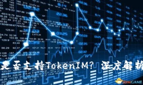火币交易所是否支持TokenIM? 深度解析与用户指南