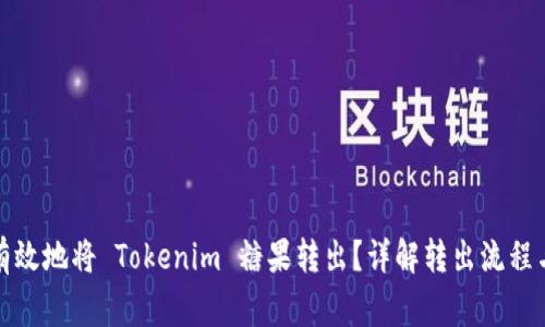 如何安全有效地将 Tokenim 糖果转出？详解转出流程与注意事项