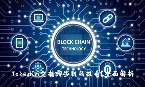 Tokenim支持哪些链的提币？全面解析