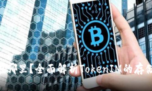 TokenIM存储在哪里？全面解析TokenIM的存储方式与安全性