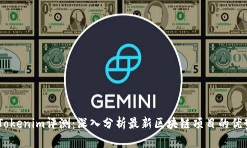 biatotiTokenim评测：深入分析最新区块链项目的优势与挑战