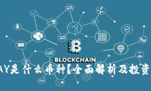 TOPAY是什么币种？全面解析及投资前景