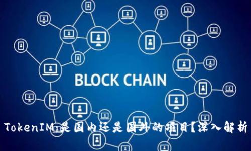TokenIM：是国内还是国外的项目？深入解析