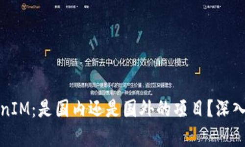 TokenIM：是国内还是国外的项目？深入解析