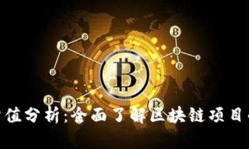 Tokenim估值分析：全面了解区块链项目的投资潜力