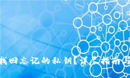 如何在Tokenim上找回忘记的私钥？详尽指南与实用常见问题解答