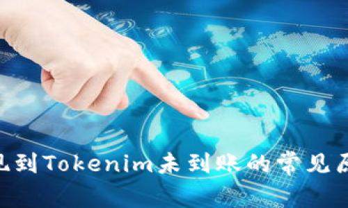Ethereum提现到Tokenim未到账的常见原因及解决方案