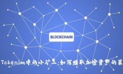 深入探索Tokenim中的小矿工：如何赚取加密资产的