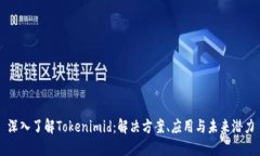 深入了解Tokenimid：解决方案、应用与未来潜力