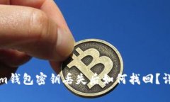 Tokenim钱包密钥丢失后如何找回？详尽指南