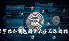卡罗拉冷钱包图片大全及选购指南