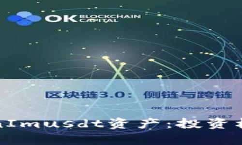 全面了解TokenImusdt资产：投资机会与市场分析
