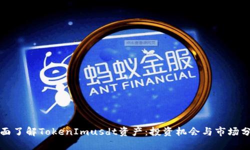 全面了解TokenImusdt资产：投资机会与市场分析