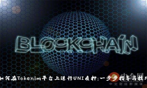 如何在Tokenim平台上进行UNI质押：一步步指导与技巧