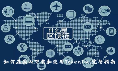 如何在国内下载和使用TokenIm：完整指南