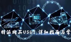 如何使用比特派购买USDT：详细指南与常见问题解