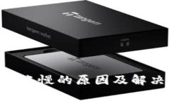 Tokenim到账慢的原因及解决方法详解