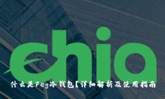 什么是Feg冷钱包？详细解析及使用指南
