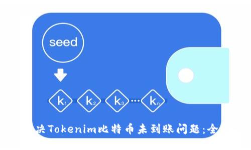 如何解决Tokenim比特币未到账问题：全面指南