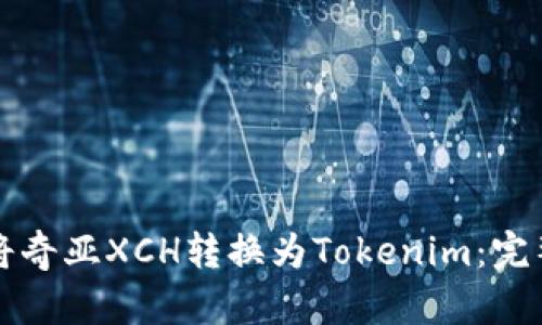 如何将奇亚XCH转换为Tokenim：完整指南