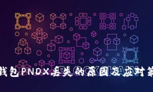 冷钱包PNDX丢失的原因及应对策略