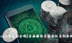 Ownbit钱包安全吗？全面解析其安全性与创新特点