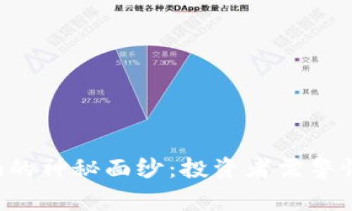 揭开山寨Token的神秘面纱：投资者需警惕的创新与风险