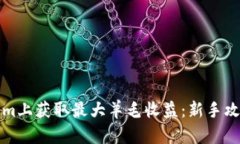 如何在Tokenim上获取最大羊毛收益：新手攻略与投