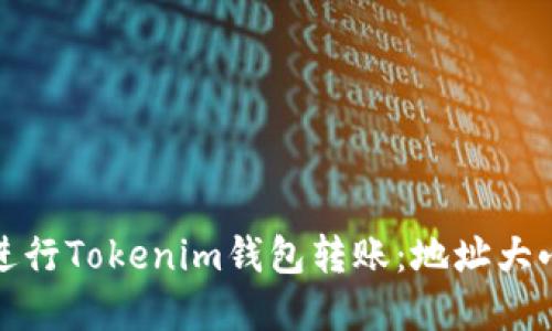 如何安全地进行Tokenim钱包转账：地址大小写的重要性