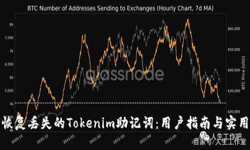 如何恢复丢失的Tokenim助记词：用户指南与实用技巧