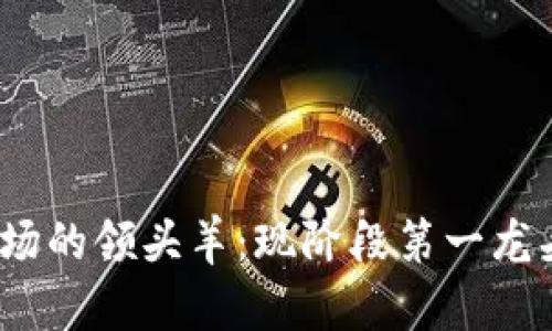 探究数字货币市场的领头羊：现阶段第一龙头究竟是哪一种？