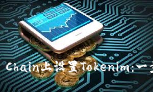 如何在Binance Smart Chain上设置Tokenim：一步步指南与常见问题解答