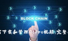 如何下载和管理GoPro视频：完整指南