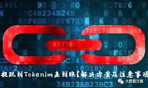 币安提现到Tokenim未到账？解决方案及注意事项详解