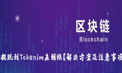 币安提现到Tokenim未到账？解决方案及注意事项详解