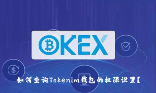 如何查询Tokenim钱包的权限设置？