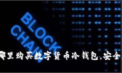 全面指南：在哪里购买数字货币冷钱包，安全存