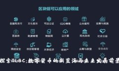 探索TLBC：数字货币的新蓝海与未来发展前景