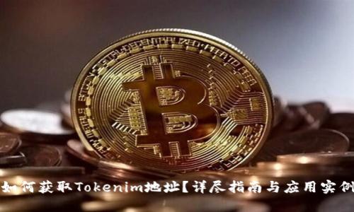 如何获取Tokenim地址？详尽指南与应用实例