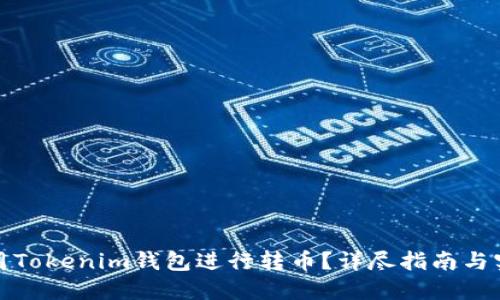 如何使用Tokenim钱包进行转币？详尽指南与实用技巧