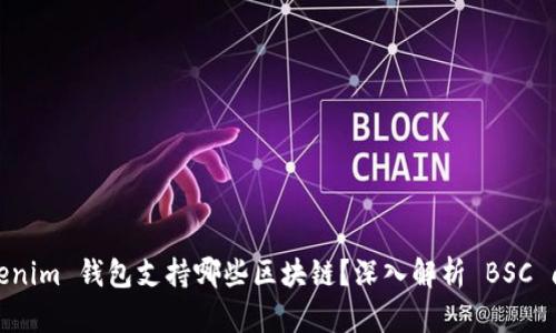 Tokenim 钱包支持哪些区块链？深入解析 BSC 问题