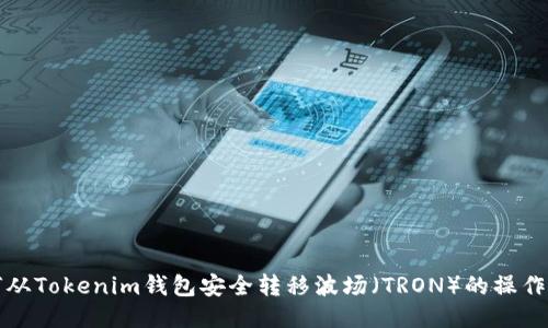 如何从Tokenim钱包安全转移波场（TRON）的操作指南