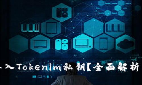 如何安全导入Tokenim私钥？全面解析与实用指南