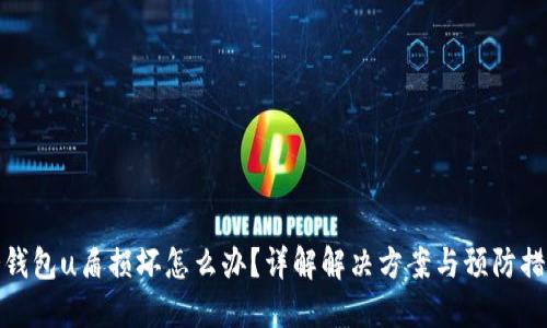 冷钱包u盾损坏怎么办？详解解决方案与预防措施