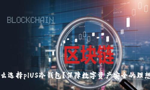 为什么选择plUS冷钱包？保障数字资产安全的理想选择